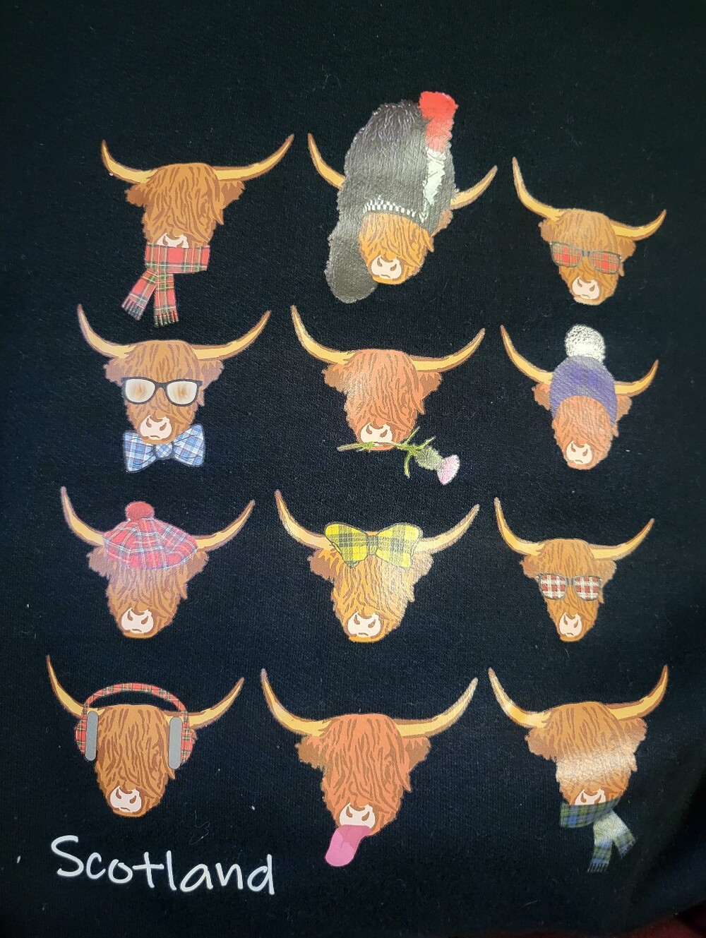 Scotland "Multi Coos" Hoodie